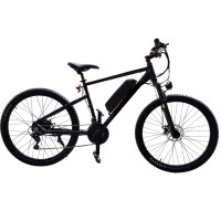 Electric Mountain Bike 250W 